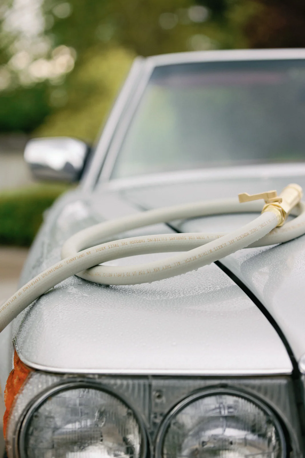 Everlasting Garden Hose - Image 8